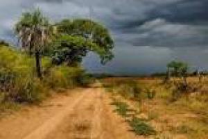 Campos Sin datos  campos